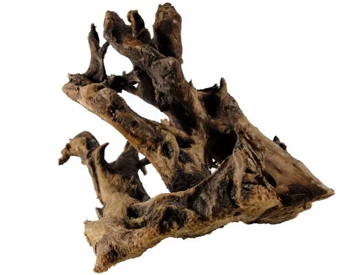 Mangrovenwurzel 15-25 cm, Dekoration für Aquarium und Terrarium