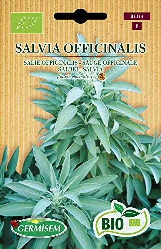Germisem Salbei SALVIA OFFICINALIS, ECBIO1114