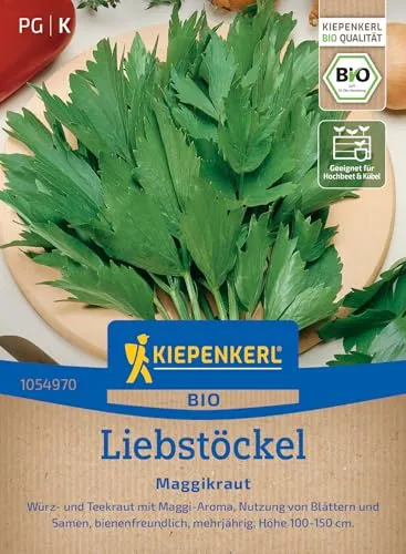 Kiepenkerl Liebstöckelsamen Maggikraut 1054970 – BIO - Würz- und Teekraut - Maggi- Aroma - bienenfreundlich - Pflanzen Samen, Saatscheibe, Kräutersamen