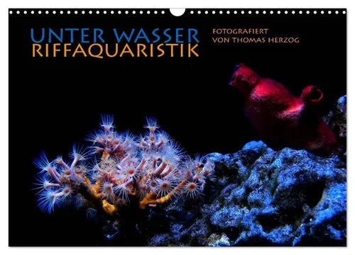 UNTER WASSER Riffaquaristik (Wandkalender 2026) - Kalender mit 12 atemberaubenden Unterwasserbildern tropischer Korallenriffe, ideal als Geschenk für Naturfreunde und Kunstliebhaber. Hochwertiger Druck und klimabewusste Produktion in Deutschland.