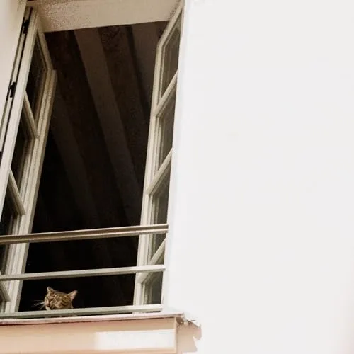 Something Soft [Vinyl LP]