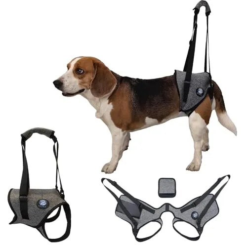 KAJILE Hundehebegeschirr,Hunde Stützgeschirr für Hintergliedmaßen und Hüfte,Haustier Erholung Walking Training,Hebegurt für Ältere Verletzte Behinderte Hunde (Grau,S)