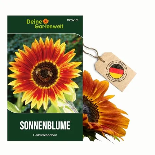 Sonnenblumen Herbstschönheit Samen - Helianthus annuus - Sonnenblumensamen - Blumensamen - Saatgut für 30 Pflanzen