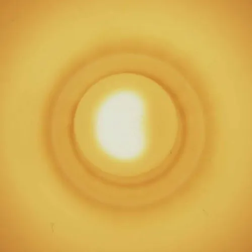 Gaute Granli Monstersol (Vinyl) (US IMPORT)