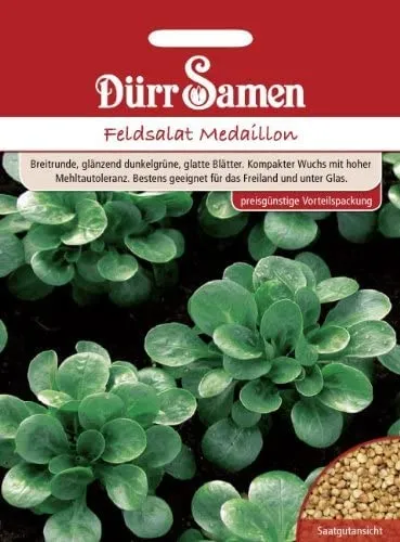 Dürr-Samen - Feldsalat Medaillon Saatgut