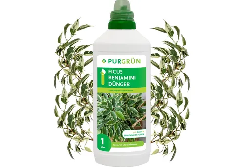 Purgrün Ficus Benjamini Dünger 1L von Purgrün