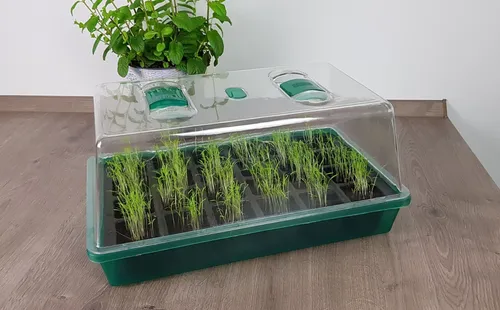 Mini Gewächshaus 24 Fächer - Zimmergewächshaus Anzucht Treibhaus Pflanzentöpfe