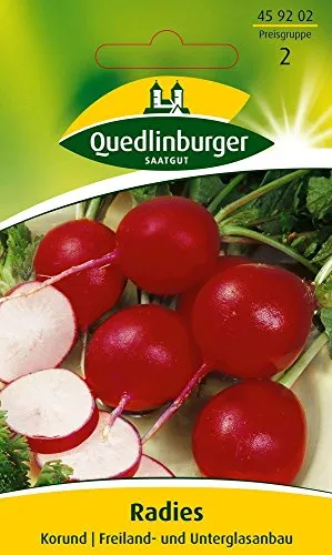 Quedlinburger 459202 Radies Korund (Radieschensamen) von Quedlinburger
