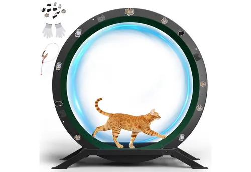 GTPLAYER Katzenlaufrad 100 cm – Ultraleises Laufgerät für Katzen - Dieses Katzenlaufrad mit hochwertigem Metallrahmen bietet Sicherheit und Stabilität. Der leise Rollmechanismus und der Sicherheitsriegel machen es ideal für nächtliches Spielen. Einfache Montage und individuelles Design inklusive!