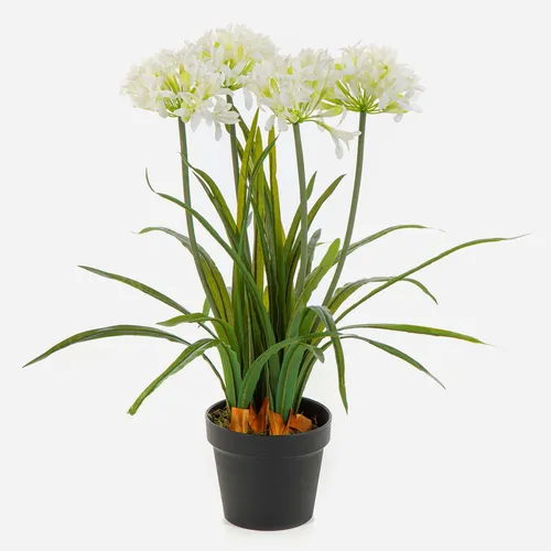 artplants Kunstblume Agapanthus LESEDA im Dekotopf, weiß, 65cm - Elegante künstliche Agapanthus-Blume in einem stilvollen Dekotopf. Ideal für eine pflegeleichte Raumgestaltung, die jeden Raum aufwertet.