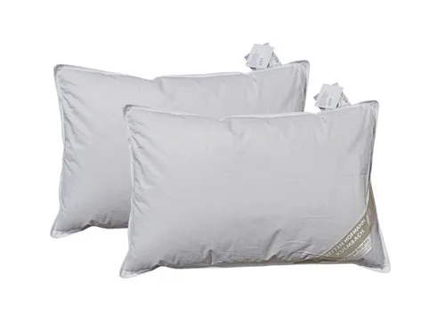 Betten Hofmann Kopfkissen 2 Stück 40x60cm - Hochwertige Daunenkissen mit 100% Baumwollbezug, ideal für alle Schlafpositionen. Die Füllung aus 85% Federn und 15% Daunen sorgt für optimalen Komfort und ist allergikergeeignet.
