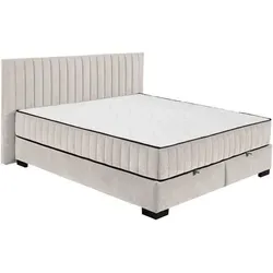 Black Red White Boxbett SALTILLO in Braun - Stylisches Boxbett SALTILLO, 180 cm Liegefläche, ideal für komfortablen Schlaf und modernes Design in Ihrem Schlafzimmer.