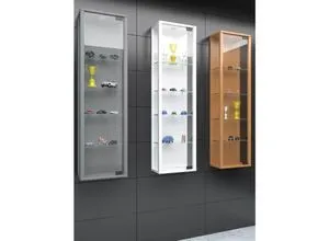 VCM Glasvitrine hängend von VCM