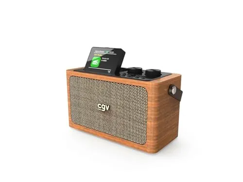 CGV | Bebop Dab+ in braun von CGV