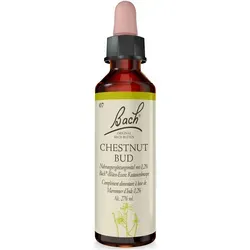 Bachblüte Chestnut Bud 20 ml