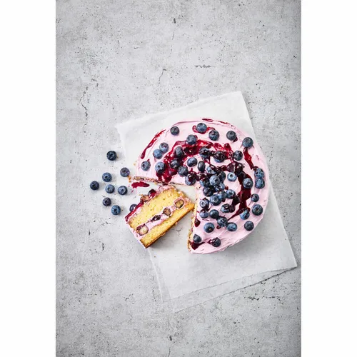 Birkmann Bakers Best Springform Kuchenform Backform Kuchbackform Ø 28 cm