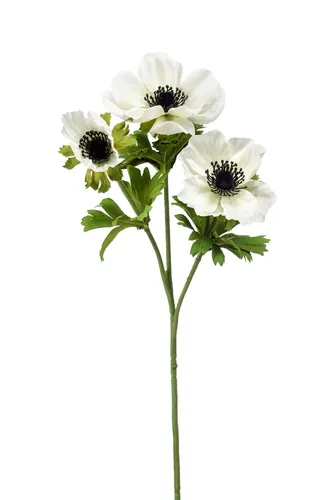 artplants Textilblume Windröschen Rubina, weiß, 55cm