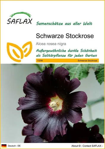 SAFLAX Blumensamen SAFLAX - Samen - Schwarze Stockrose