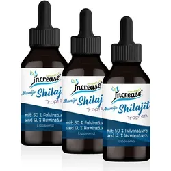 Nimm 3, zahl 2 Liposomale Shilajit Tropfen - 2000mg pro Tag - Hochdosierte Shilajit Tropfen aus dem Himalaya, reich an 50% Fluvinsäure und 12% Huminsäure, vegan und mit hoher Bioverfügbarkeit für optimale Vitalität.
