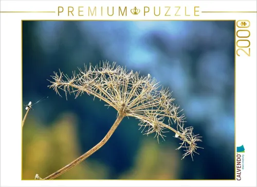 CALVENDO Puzzle Ausgeblüht 2000 Teile Puzzle quer | 2000 Teile Lege-Größe 90x67cm Foto-Puzzle für glückliche Stunden