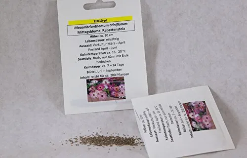 Mittagsblume Rabattenstolz Mischung Blumenmischung Blumensaat für ca. 200 Pfl. Mittagsblumengewächs