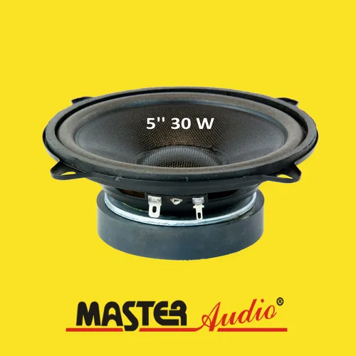 Master Audio Lautsprecher CW500/8 130 mm (5