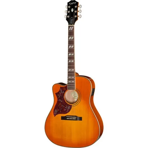 Hummingbird Studio EC HCS LH