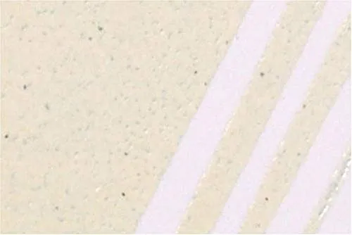 KnorrPrandell 1519703 Embossingpuder, 10 g/Dose, Champagner