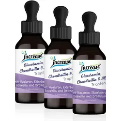 increase NATURALLY Liposomale Glucosamin, Chondroitin & MSM Tropfen, 180 ml - Nimm 3, zahl 2 - Mineralstoffe: Hochdosierte Tropfen mit 1525 mg natürlichem Glucosamin, Chondroitin & MSM pro Tagesdosis, ideal für Gelenkgesundheit und Beweglichkeit.