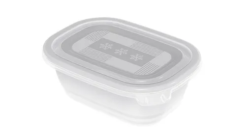 Rotho Gefrierdose Freeze 1,9 L 2er Pack