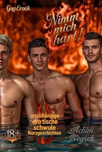 Nimm mich hart !: erotische Kurzgeschichten (schwul 18+)