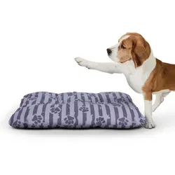 Hundebetten von Bestlivings