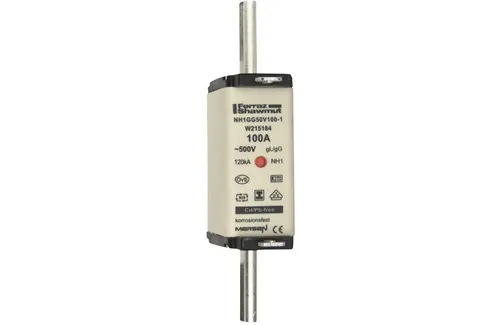 Mersen NH-Sicherungseinsatz SG NH1GG50V100-1 Niederspannung Hochleistung