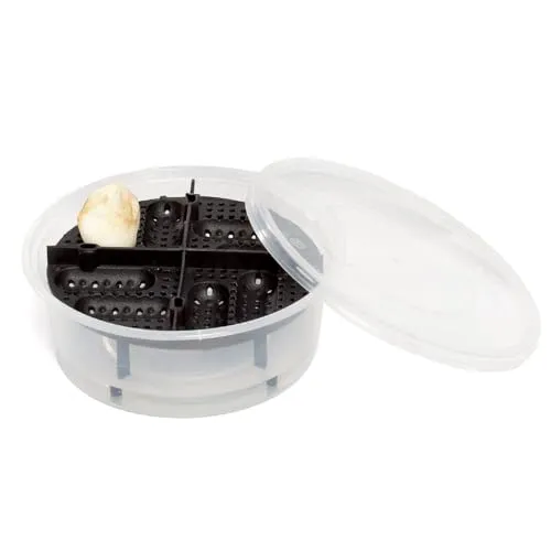 Terrarien von M&S Reptilien