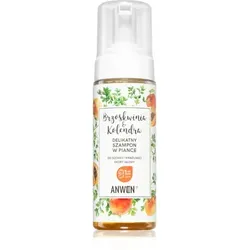Anwen Peach & Coriander Reinigungsschaum für trockene und empfindliche Kopfhaut 170 ml