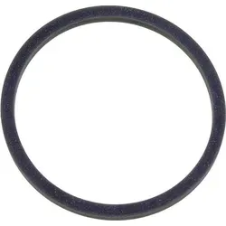 AEG/Elektrolux 4055369369 Dichtung für SB2700 SB2400 SB2500 SB4PS SB2900 ESB2400 ESB2610 ESB2640 ESB2900 ESB2700 ESB2500 ESB2450 Standmixer