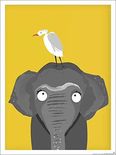 Close Up Kinderzimmer Poster Elefant Afrika (30cm x 40cm)