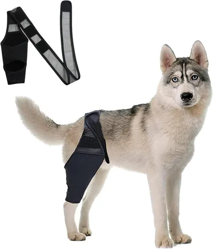 Kniebandage für Hunde