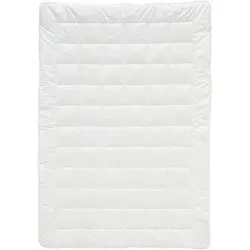 Billerbeck Sommerdecke Alcando Light, 135x200 cm - Bettdecken - Hochwertige Sommerdecke mit temperaturausgleichender Polyesterfüllung, ideal für Hausstauballergiker und sorgt für erholsamen Schlaf.