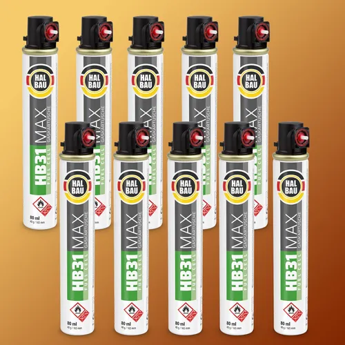 Gaskartusche 10x 165 mm für Nagler HB31 von Halbau