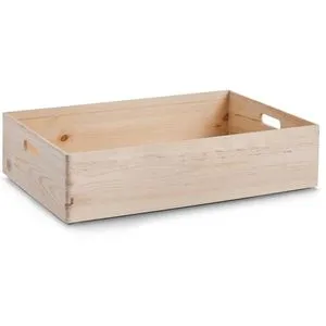 Zeller Present Aufbewahrungsbox zeller Allzweckkiste 40x14.50x60 cm - Beige Aufbewahrungsbox, ideal für vielseitige Nutzung und Platzersparnis in jedem Raum.