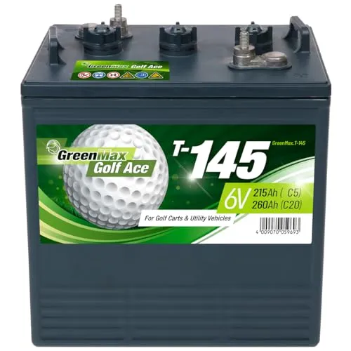 GreenMax Golf Ace T-145 (6V 260Ah) von BIG