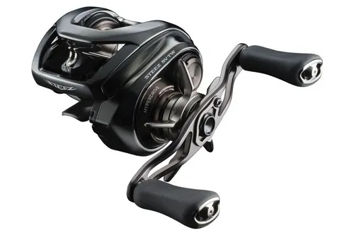 DAIWA 24 Steez SV TW 100L