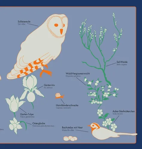 Antje Rother ~ Kleine Vogel-Wunderkammer 9783981872644