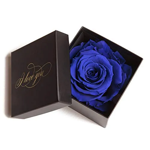 Exklusive Geschenkidee für die ewige Liebe mit 1 konservierten Rose haltbar 3 Jahre und Goldschrift I LOVE YOU/Rosenbox/Blumenversand ewig blühende Rose (1 Rose, Schwarz-Blau)