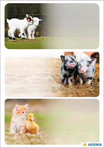 HERMA Buchetiketten VARIO