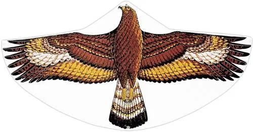 Günther Flugspiele Einleiner Drachen Steinadler von Günther Flugspiele