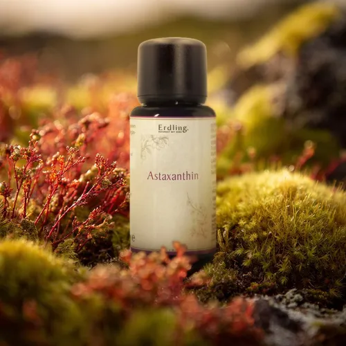 Produktbild Astaxanthin aus Island