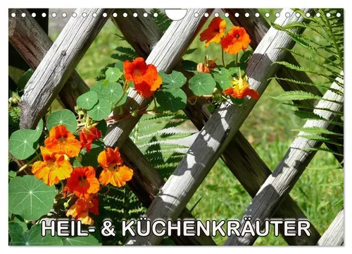 Heil- und Küchenkräuter Wandkalender 2026 - Hochwertiger Fotokalender mit 12 beeindruckenden Bildern, ideal für das ganze Jahr. Robuste Spiralbindung und umweltfreundliches Papier machen ihn zum perfekten Geschenk für jeden Anlass.