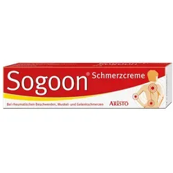 SOGOON Schmerzcreme 100 g